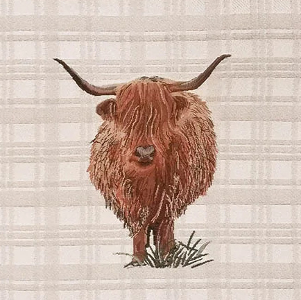 Highland Cow